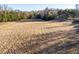 Expansive pasture with mature trees and shadows at 2821 Se 80Th St, Ocala, FL 34480