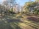 Sunny pasture with tall trees and lush grass at 2821 Se 80Th St, Ocala, FL 34480