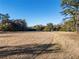 Open pasture with a path and trees in the background at 2821 Se 80Th St, Ocala, FL 34480