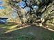 Backyard featuring a whimsical treehouse nestled among mature trees at 6701 Se 99Th Pl, Belleview, FL 34420