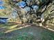Expansive backyard with mature trees and a charming treehouse, perfect for outdoor activities at 6701 Se 99Th Pl, Belleview, FL 34420