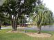 Landscaped front yard with palm trees and shrubs at 11500 Sw 136Th Pl, Dunnellon, FL 34432