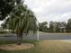 Residential street view with palm trees and landscaping at 11500 Sw 136Th Pl, Dunnellon, FL 34432