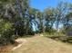 Wide backyard with scattered trees and a lush lawn at 14268 Se 27Th Ct, Summerfield, FL 34491