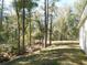 Lush backyard showing the large lawn and shade trees at 14268 Se 27Th Ct, Summerfield, FL 34491