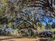 Large oak tree shades the backyard near a small shed at 9100 Se 180Th Avenue Rd, Ocklawaha, FL 32179