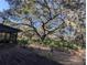 Wooden deck overlooking the backyard and large oak tree at 9100 Se 180Th Avenue Rd, Ocklawaha, FL 32179