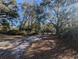 Long driveway leading to the property with trees on both sides at 9100 Se 180Th Avenue Rd, Ocklawaha, FL 32179