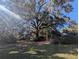 Spacious front yard with large oak tree and lush green grass at 9100 Se 180Th Avenue Rd, Ocklawaha, FL 32179