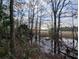 Sunset over marsh with tall grasses at 9100 Se 180Th Avenue Rd, Ocklawaha, FL 32179