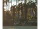 Two deer in a wooded area at 9100 Se 180Th Avenue Rd, Ocklawaha, FL 32179