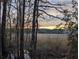 Sunset over marsh with tall grasses at 9100 Se 180Th Avenue Rd, Ocklawaha, FL 32179