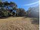 Large grassy yard with mature trees and a home in the distance at 9100 Se 180Th Avenue Rd, Ocklawaha, FL 32179