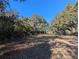 Open grassy yard with mature trees and a home in the distance at 9100 Se 180Th Avenue Rd, Ocklawaha, FL 32179