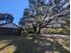 Small shed nestled near a large oak tree in the yard at 9100 Se 180Th Avenue Rd, Ocklawaha, FL 32179