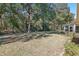 Large backyard with lush grass and mature trees at 14146 Sw 112Th Cir, Dunnellon, FL 34432