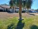 Landscaped front yard with palm tree and neatly trimmed grass at 19950 Ibis Ct, Dunnellon, FL 34432