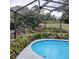 The pool is surrounded by lush plants, beautiful rock work, and lighting at 19950 Ibis Ct, Dunnellon, FL 34432