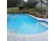 The screened in pool features a handrail and a landscaped retaining wall at 19950 Ibis Ct, Dunnellon, FL 34432