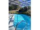 Relaxing screened pool area with a metal ladder and lush landscaping at 19950 Ibis Ct, Dunnellon, FL 34432