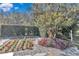 Landscaped garden bed featuring colorful flowers, gravel paths, and a privacy hedge at 3923 Manor Oaks Ct, Leesburg, FL 34748