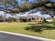 Single-story home with stone accents and a manicured lawn at 4048 Se 38Th Loop, Ocala, FL 34480