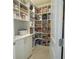 Well-organized pantry with ample shelving for storage at 5429 Sw 44Th Court Rd, Ocala, FL 34474