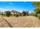 Landscaped backyard with gravel and mature shrubs at 8796 Sw 83Rd Cir, Ocala, FL 34481