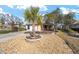 Neatly landscaped front yard with a palm tree and rock garden at 9111 Sw 102Nd Cir, Ocala, FL 34481