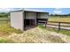 Metal run-in shed offering shelter for horses at 12000 S Highway 475, Ocala, FL 34480