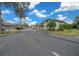 Residential street with lush landscaping and homes at 2021 Se Twin Bridge Cir, Ocala, FL 34471
