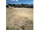 New construction homes are displayed in an open backyard with newly laid sod and clear skies at 3168 Ne 46Th Ave, Ocala, FL 34470