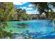 Beautiful lake surrounded by lush greenery and clear blue water at 3168 Ne 46Th Ave, Ocala, FL 34470