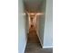 Hallway with wood-look floors leading to a bathroom at 2792 Sw 161St Loop, Ocala, FL 34473