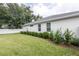 A well-maintained backyard with lush grass and privacy bushes at 4721 Se 25Th Loop, Ocala, FL 34480