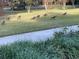 Wild turkeys enjoying the grassy front yard at 5000 Se 11Th Ave, Ocala, FL 34480