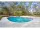 Relaxing freeform pool surrounded by lush landscaping at 5000 Se 11Th Ave, Ocala, FL 34480