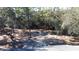 Wooded backyard offering a private and natural setting at 5625 Sw 181St Ct, Dunnellon, FL 34432