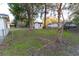 Large backyard with trees, shed and chain link fence at 6006 Nw 62Nd Pl, Ocala, FL 34482