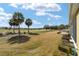 Landscaped backyard showcasing scenic golf course views at 6716 Sw 91St Cir, Ocala, FL 34481