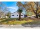 Home's exterior features a unique palm tree and fall foliage at 8890 Sw 96Th St # D, Ocala, FL 34481