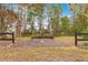 Landscaped backyard with wood-lined perimeter at 5077 Sw 107Th Loop, Ocala, FL 34476