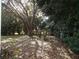 Backyard view featuring a large tree and surrounding greenery at 7106 Sw 115Th Loop, Ocala, FL 34476