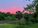 Stunning sunset over the backyard landscape with lush greenery at 7727 Sw 102Nd Loop, Ocala, FL 34476