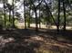 Private wooded lot with mature trees and open space at 9221 Sw 193Rd Cir, Dunnellon, FL 34432