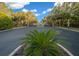 Gated entrance to Countryside Farms community with lush landscaping and palm trees at 9748 Sw 74Th Ave, Ocala, FL 34476