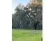 Picturesque grassy field beneath towering, moss-draped trees creates a serene and idyllic natural landscape at 10245 Sw 105Th St, Ocala, FL 34481