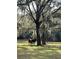 Horses enjoying the shade beneath a large oak tree in a verdant pasture at 10245 Sw 105Th St, Ocala, FL 34481