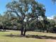 Large pasture with live oak trees and horses at 10245 Sw 105Th St, Ocala, FL 34481