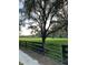 View of tree-lined pasture with a fence and gate along the gravel road at 10245 Sw 105Th St, Ocala, FL 34481